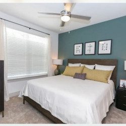 Luxury Apartment in Lawrenceville, GA