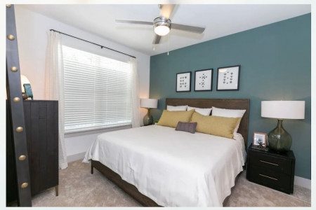 Luxury Apartment in Lawrenceville, GA