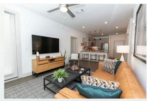 Luxury Apartment in Lawrenceville, GA